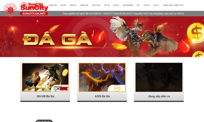 da ga 1 Đá gà Suncity - Địa điểm cá cược lý tưởng cho các tín đồ đam mê đá gà