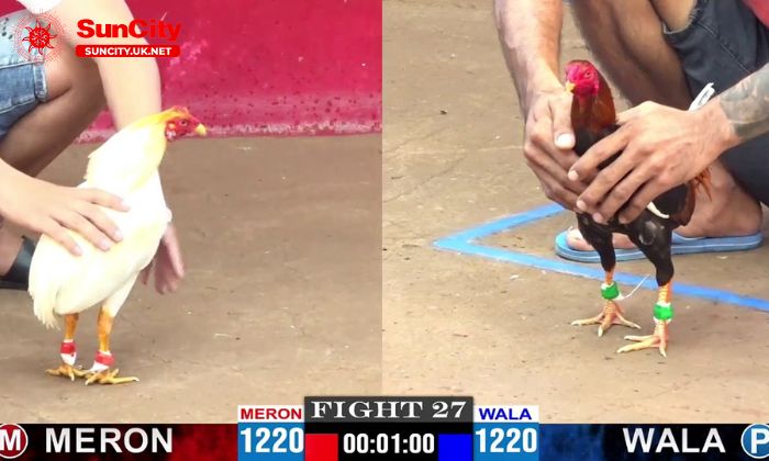 da ga 4 Tỷ lệ cược cập nhật nhanh chóng