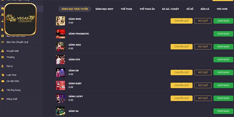 Một số vấn đề cần lưu ý khi sử dụng phương thức thanh toán Vegas79