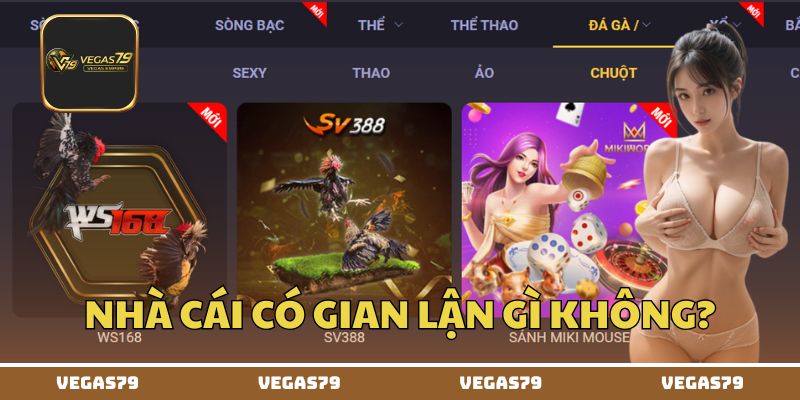 Nhà cái có gian lận gì không?